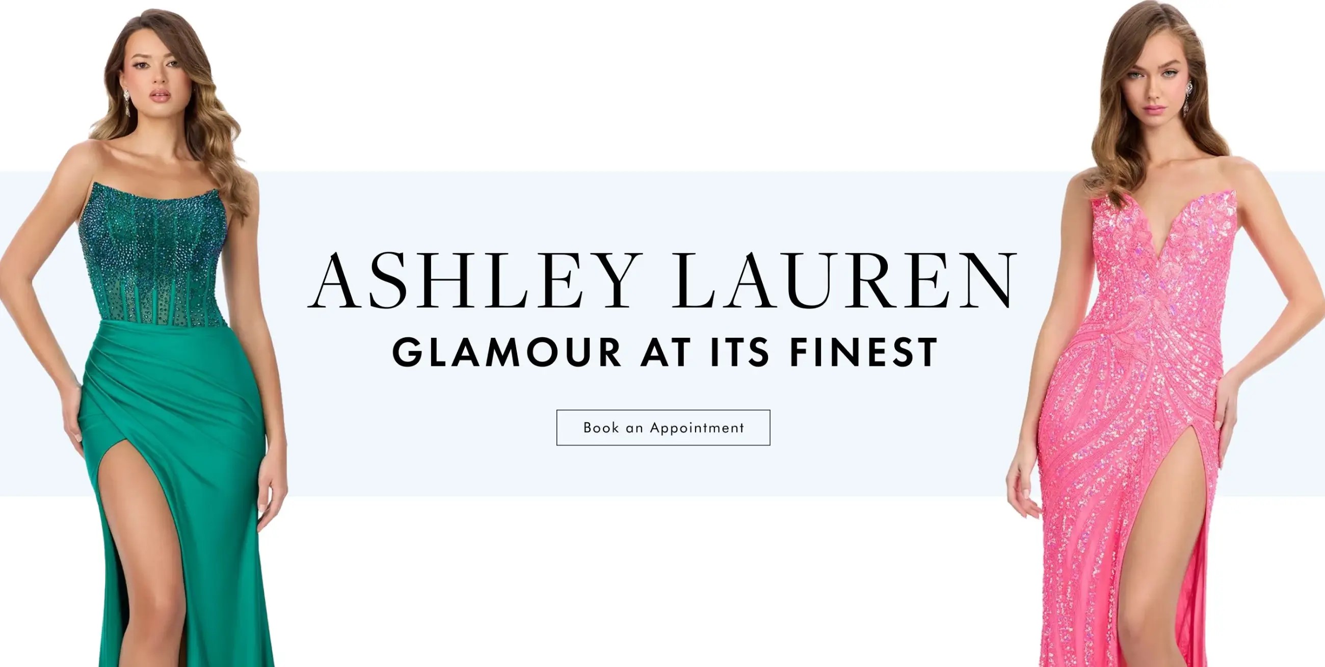 Ashley Lauren Banner for Desktop